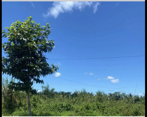 Bán Nền Đường B8, KDC Phú An, Phú Thứ, Cái Răng, Cần Thơ, Giá 2 Tỷ