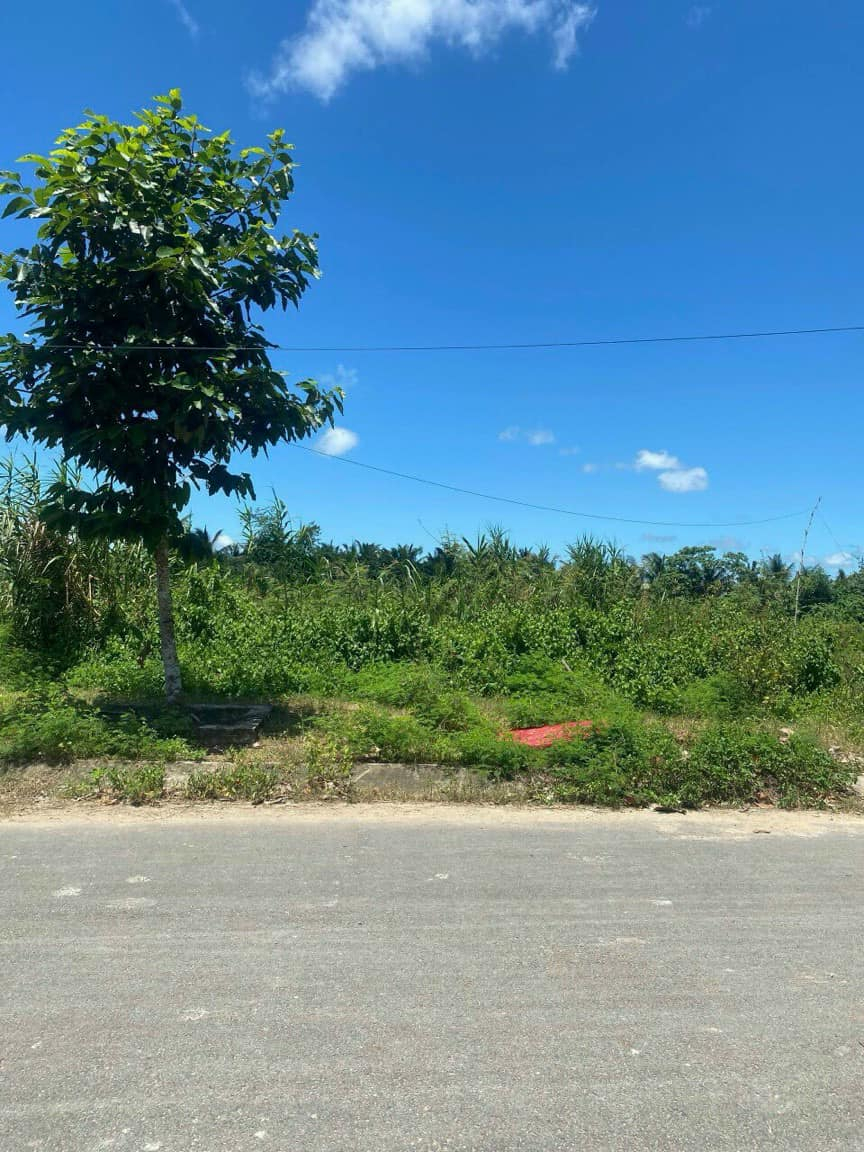 Bán nền KDC Phú An , Phường Phú Thứ, Quận Cái Răng, Tp.Cần Thơ